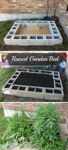 iSave A2ZRaised Bed Garden Designs » iSave A2Z -- raised garden bed made with concrete blocks