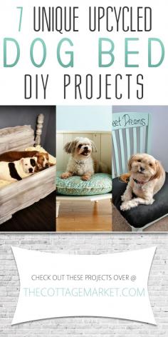 
                    
                        7 Unique Upcycled Dog Bed DIY Projects (All With Tutorials) - The Cottage Market
                    
                