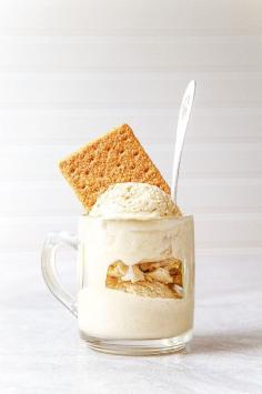 Graham Cracker Infused Ice Cream! This ice cream couldn’t be easier to make. If you can pour milk over cereal, you can make this! Click through for recipe!