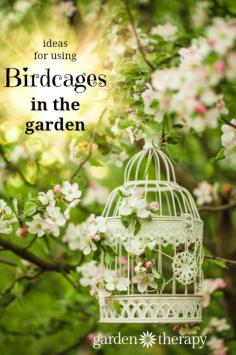 
                    
                        Birdcage projects to add some decorative flare hanging from a tree or as an outdoor table centerpiece. Add just one or two to your backyard or make plenty of them for wedding decor. #birdcages #ad #garden
                    
                