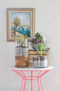 Concrete and Glass Succulent Planter Tutorial {via Vintage Revivals blog - great source for fun, funky decor ideas and DIYs}