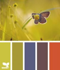 winged yellow - color inspiration from design seeds!