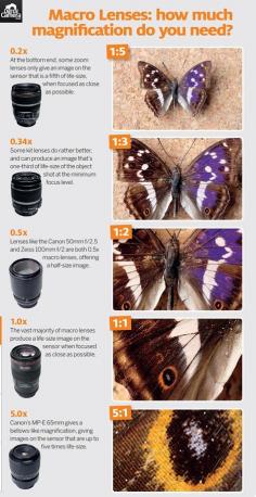 
                    
                        What is a macro lens? Magnification and minimum focus distance explained (free photography cheat sheet) TB0
                    
                