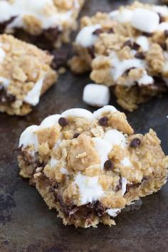 
                    
                        Oatmeal Cookie S'mores
                    
                