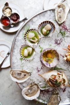 / Nicole Frazen #oysters #shells