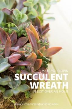 Making a succulent wreath doesn't have to take a long time! Learn how to make your own!