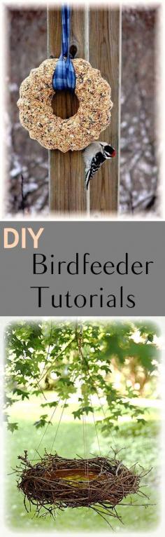 Homemade Bird Feeders.  Great ideas and tutorials for DIY bird feeders. Fun projects and designs to feed 'us' birds!