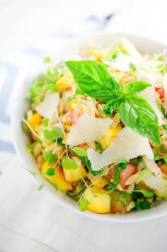 
                    
                        Grilled Summer Squash Orzo Salad
                    
                