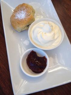 
                    
                        Scone and cream  - Sanctuary Cafe, Cafes, Warriewood, NSW, 2102 - TrueLocal
                    
                