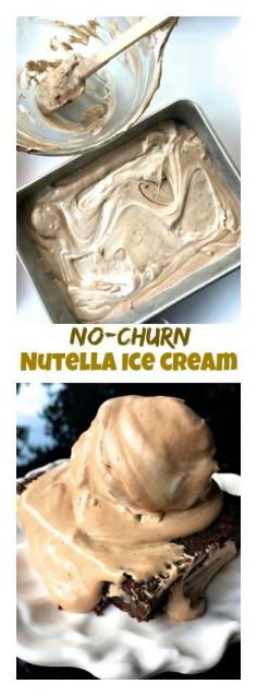 
                    
                        No-Churn Nutella Ice Cream | ReluctantEntertai...
                    
                