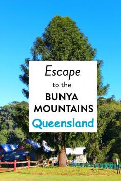
                    
                        Escape to the Bunya Mountains in Queensland, Australia.
                    
                