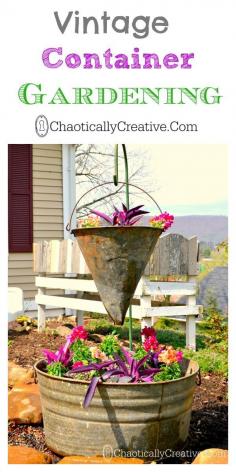 Vintage Container Gardening Ideas and Steps