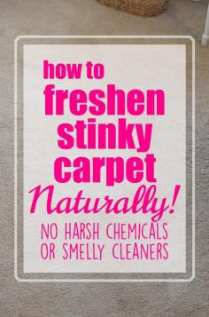 If you have pets or children or people living in your house and have carpet, then you know it can get a bit ripe... as in stanky.  Here is my method for how to freshen carpet - Naturally!  What you need:  8 cups of Baking Soda 30 drops of Essential Oils – I used 20 Lavender and 10 Peppermint {my favorite combination!}