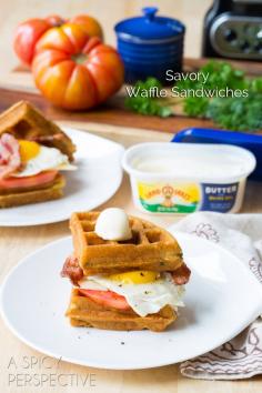 Savory Waffle Sandwiches - A Spicy Perspective