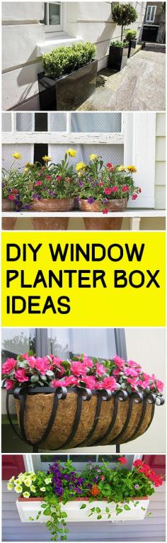 DIY Window Planter Box Ideas