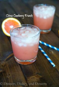 Citrus Cranberry Punch - Best Super Bowl Appetizers & Snacks {Faith, Hope, Love, & Luck Survive Despite a Whiskered Accomplice} - #SuperBowl #Party #Football #Snacks #Appetizers #Drinks #Desserts #Bengal #Cat