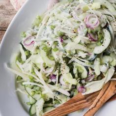 Cucumber-Fennel Salad with Herbed Goat Yogurt. White wine vinegar, parsley, chives, celery, scallions. Add radish and make sure to slice fennel in edible pieces!