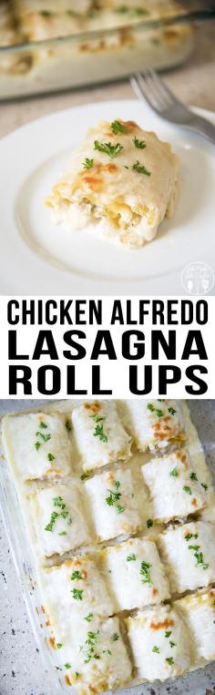 Chicken Alfredo Lasagna Roll Ups - These delicious lasagna roll ups are ready in 30 minutes for an easy weeknight meal that your whole family will love! -  rotisserie chicken