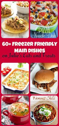 60+ Fantastic Freezer Friendly Meals for those busy night and mornings when you don't have time to make a meal! ~ http://www.julieseatsandtreats.com