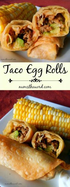 If you love Tacos, try these easy Taco Egg Rolls. A taco rolled up into an egg roll and fried. Kid friendly, spouse approved, easy weeknight meal! @numstheword