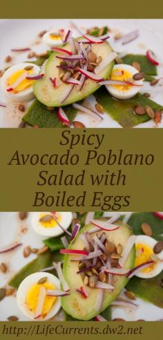 
                    
                        Spicy Avocado-Poblano Salad with Boiled Eggs a great summer dish with lots of flavor!  by Life Currents
                    
                