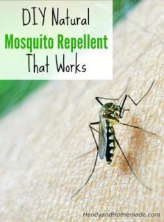 DIY Natural Mosquito Repellent Recipe That Works.  Herbs and essential oils that repel mosquitoes include: Basil, Eucalyptus, Peppermint, Rosemary, Lemon balm (citronella), onions and garlic extract. You can make your own natural mosquito repellent with essential oils: 5 drops each of 2 different essential oils (seen in the list above), 2 tablespoons vegetable oil or coconut oil.  Combine the ingredients in a glass jar, stir well to blend. Dab a few drops on your skin.