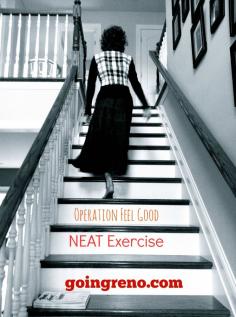 This is week 7 of 52 Weeks of Feeling Good, an Operation Feel Good series. This month we’re focused on movement and today we’re talking about NEAT exercise. Have you ever heard of NEAT? It stands for non-exercise activity thermogenesis and it represents the movement you do in your normal, everyday life–the activity of living.