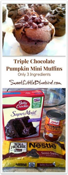 Triple Chocolate Pumpkin Mini Muffins - Cake mix, pumpkin & chocolate chips.