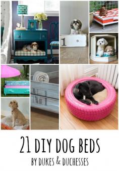 
                    
                        21 DIY dog beds
                    
                