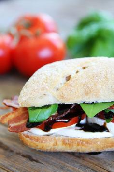 
                    
                        Bacon Caprese Sandwich Recipe on twopeasandtheirpo... Bacon takes the classic caprese sandwich from good to GREAT!
                    
                