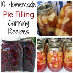 10 Homemade Pie Fillings, Canning Recipes