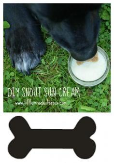 Make this DIY SNOUT SUN CREAM and keep your pooch's nose from getting toasted from the sun! Can be used on dry or chapped skin as well!