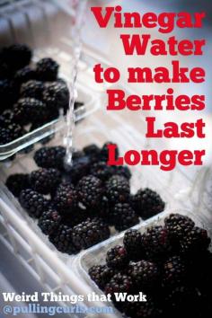 Use diluted vinegar to rinse berries to help them last longer {wierd things that work}.