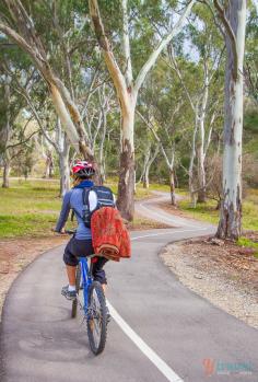
                    
                        Go biking and have a picnic in the Barossa Valley, South Australia
                    
                