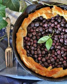 
                    
                        Blueberry-Basil Galette in a Cast Iron Skillet
                    
                