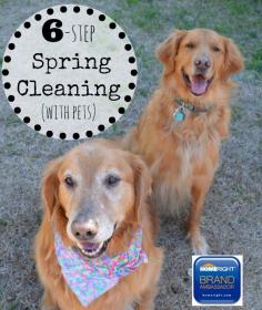 Six top-to-bottom steps for spring cleaning your pet-friendly house without chemicals, using the HomeRight SteamMachine Plus Mop and giveaway!