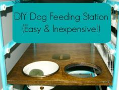 DIY Pet feeding station!