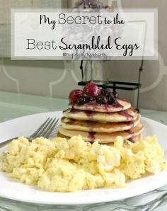 
                    
                        My Secret to the Best Scrambled Eggs #eggs #besteggrecipes #eggrecipe
                    
                