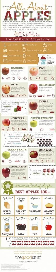 Different types of apples are better for different things. When buying apples for apple pie, apple cider, and apple sauce, get the best types of apples.