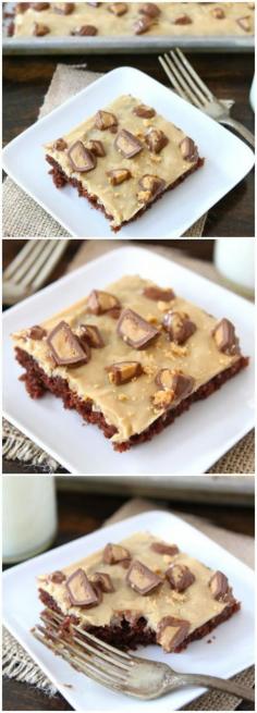Chocolate Sheet Cake with Peanut Butter Frosting recipe