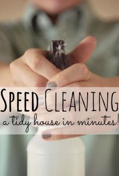 Speed Cleaning:  How to get a neat  tidy house in less than 45 minutes a day.  It WORKS.