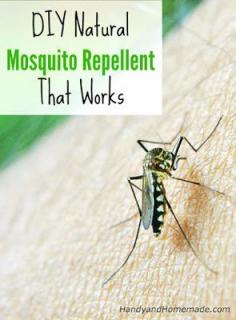DIY Natural Mosquito Repellent Recipe That Works  I'd do peppermint oil and Rosemary oil mixed with coconut oil.