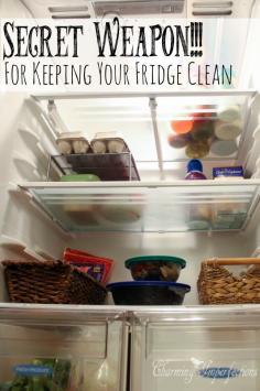 Who doesn’t struggle with keeping their fridge clean? It’s the constant in kitchens everywhere, but it doesn’t have to be this hard! Using the tricks and methods listed here, your fridge can be spotless and organized everyday!