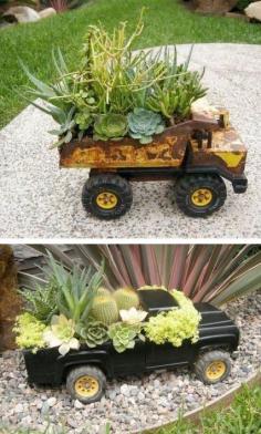 Succulents planted in toy trucks