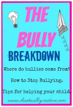 The Bully Breakdown