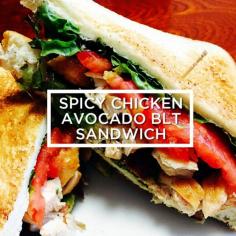 
                    
                        Spicy Chicken Avocado BLT Sandwich
                    
                