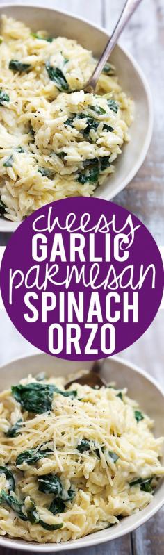 Super creamy and Cheesy Garlic Parmesan Orzo pasta! | Creme de la Crumb  #maincourse #recipe #dinner #lunch #recipes