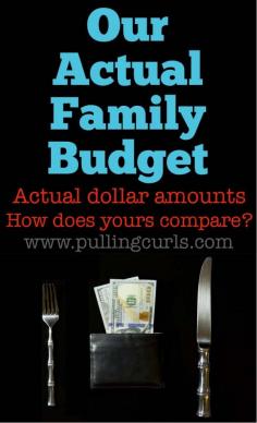 Make A Budget: Showing our Actual Budget » Pulling Curls
