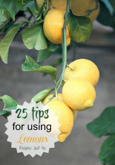 Lemons are not just for making lemonade. See my 25+ tips for using them in the home and for beauty and health reasons.