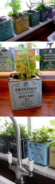 plant herbs etc in old tins for window sill. Finally a use for all those tea tins!